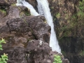 IMG_0095