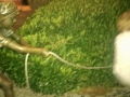 imag0127