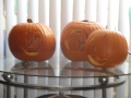 dsc00724 dsc00724