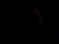 100_2129