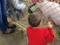 IMG_0022